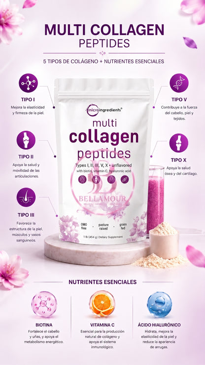Multi Collagen Peptides Premium - 5 Tipos de Colágeno